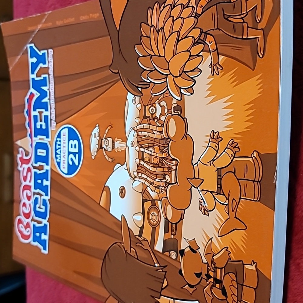 Beast Academy Math Practice 2B level book (bent corner)